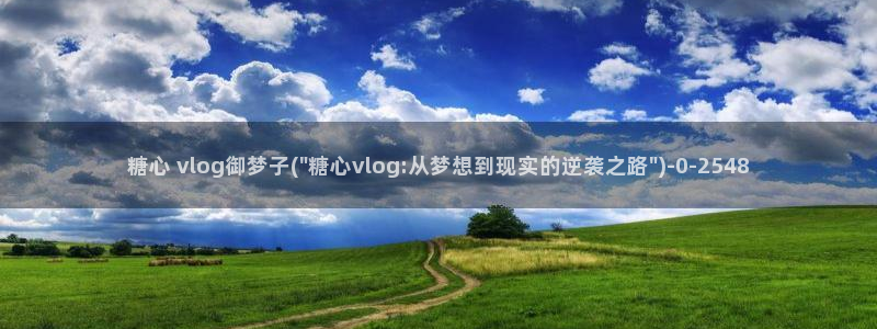  糖心vlog哪个好看：糖心 vlog御梦子(\