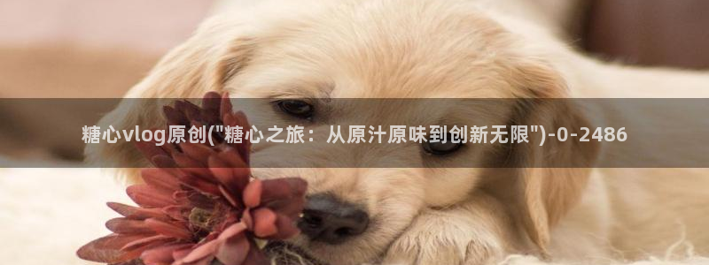  糖心vlog破解版：糖心vlog原创(\