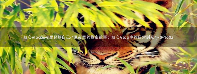  糖心vlog最新下载：糖心vlog深夜里释放自己(\